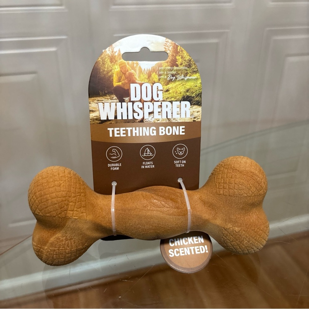 Dog Whisperer ~ Teething Bone 6” - Squeaky Dog Toy